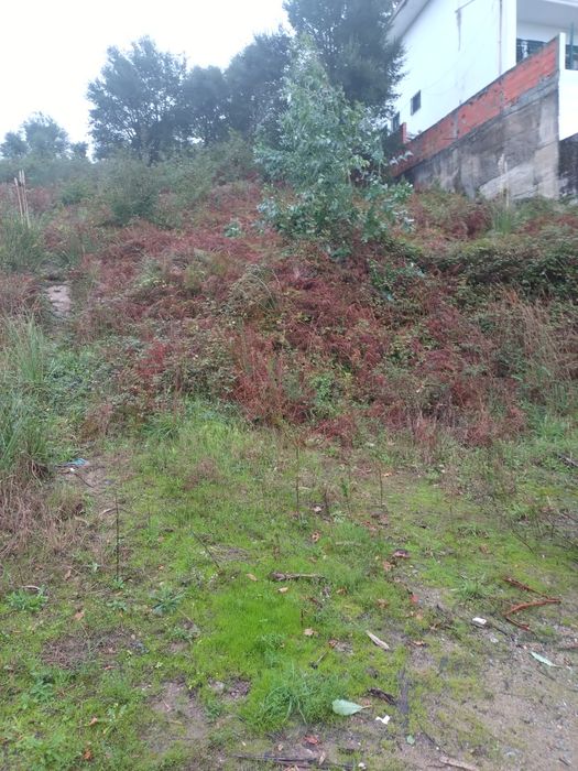 Terreno para contruçao em Gaia
