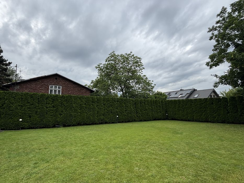 Przycinanie żywopłotów, tuj, krzewów