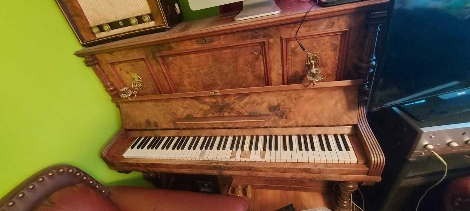 Wyjątkowe pianino