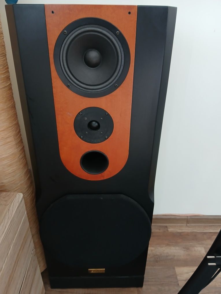 Unikatowe kolumny Diora Saturn ze wzmacniaczem ONKYO