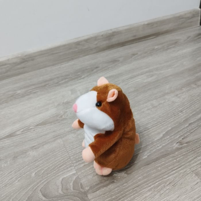 Sprzedam grającą świnkę morską