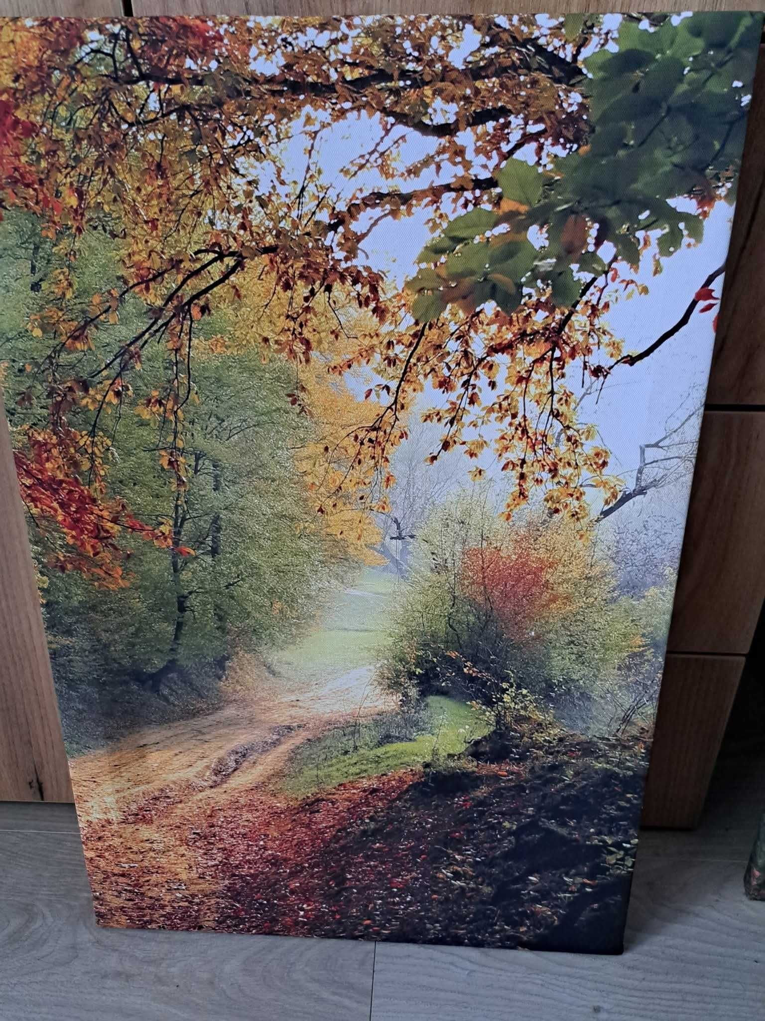 Obrazy na płótnie Canvass