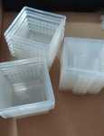 pojemnik mini braplast dla pająka skorpiona