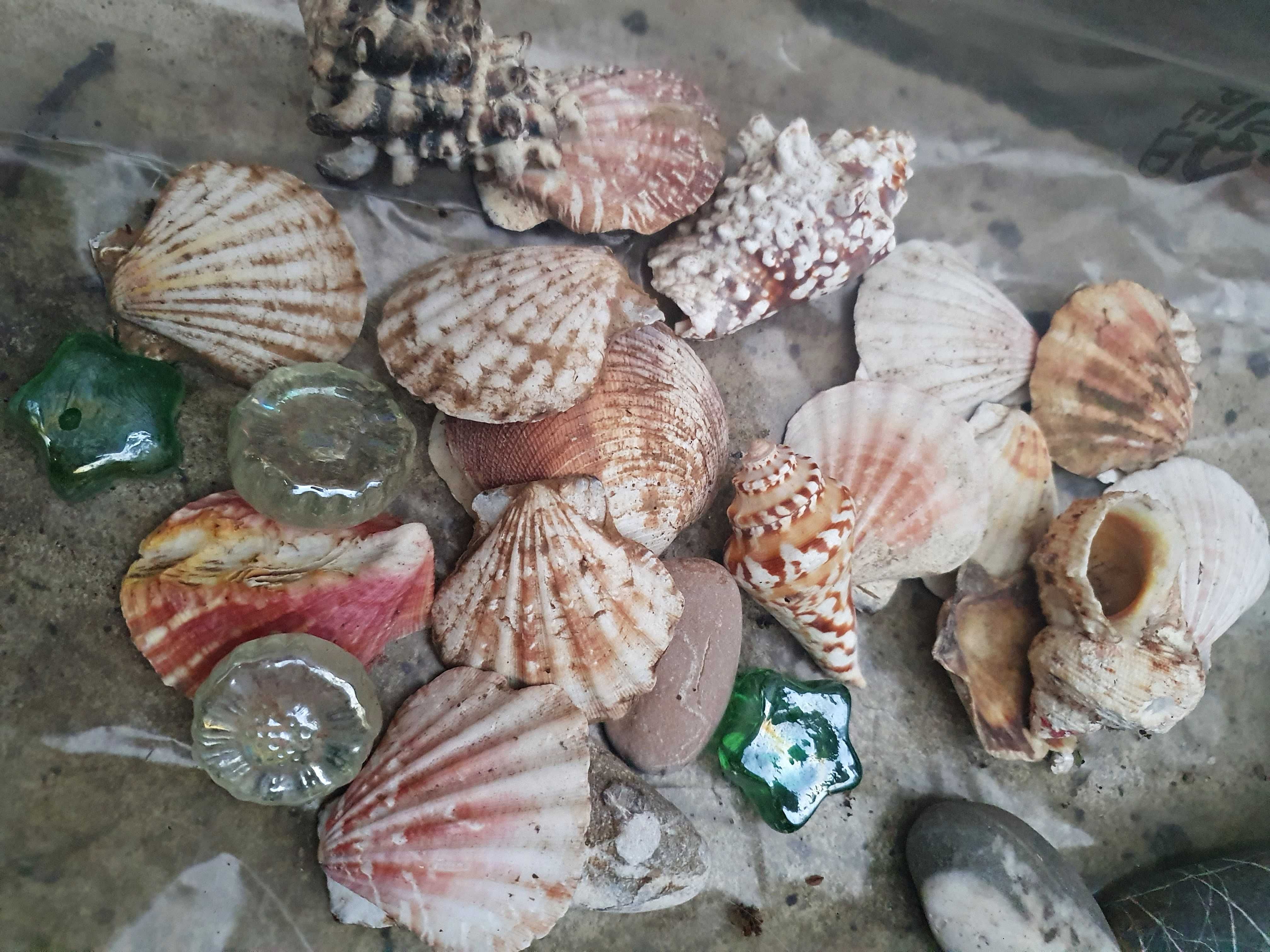 Морське каміння для акваріуму, ракушки і грунт