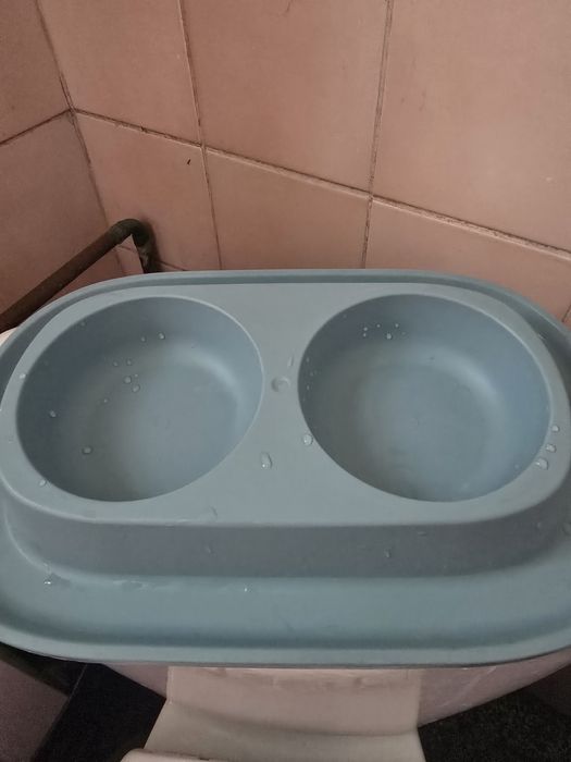Podwójna miska dla kota