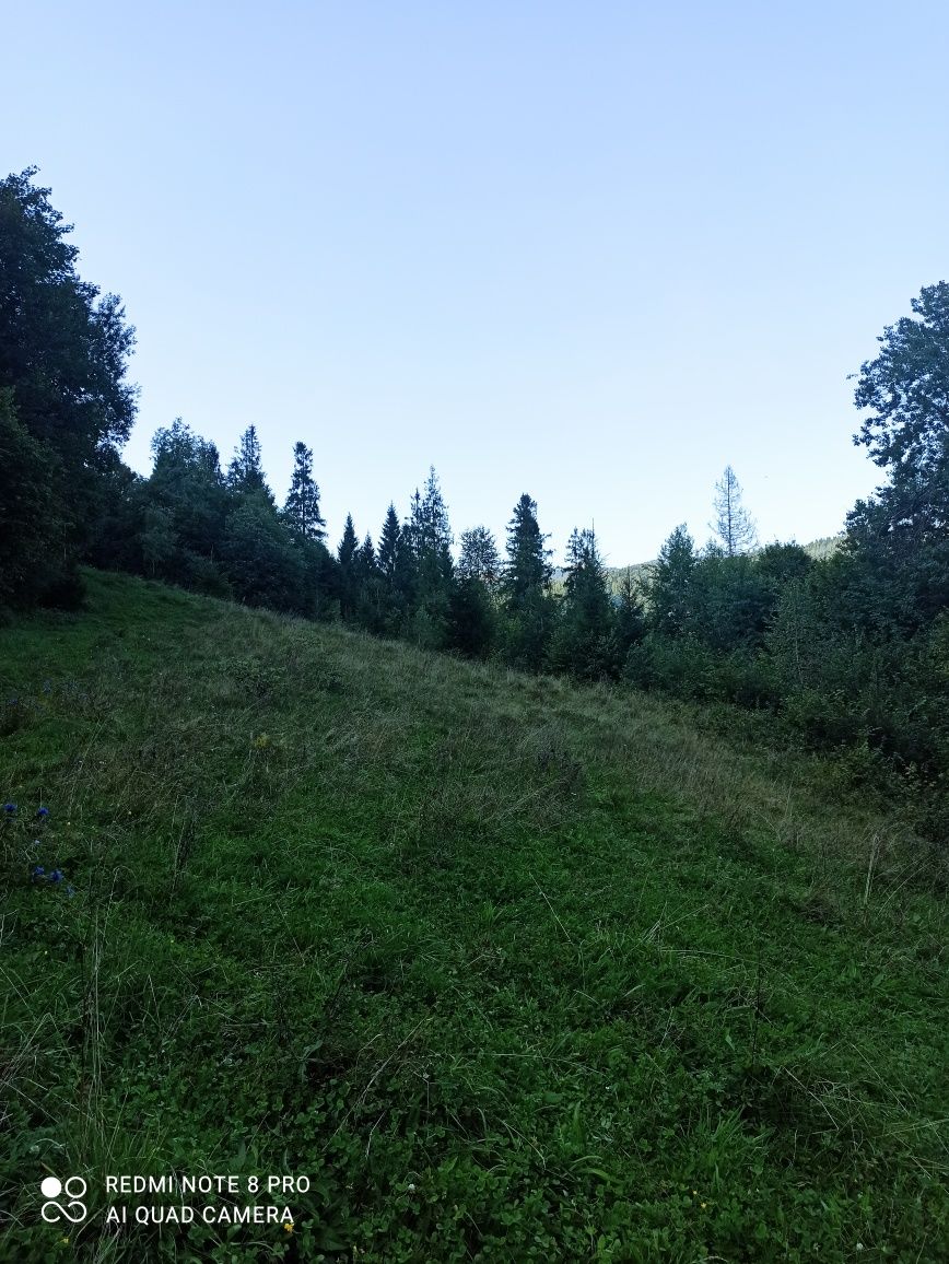 Земельна ділянка.