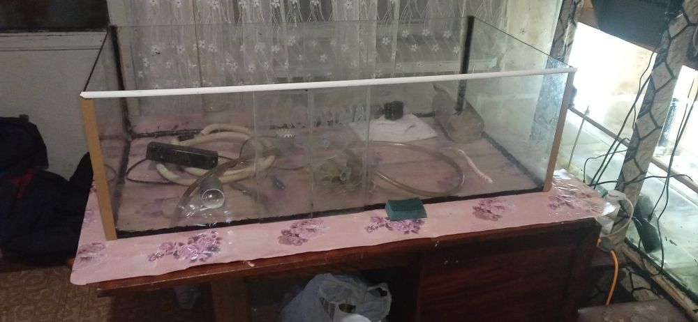 Продаю аквариум рак три    атралийск  что вы можете  обменяться