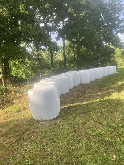 Siano suche owiniete.