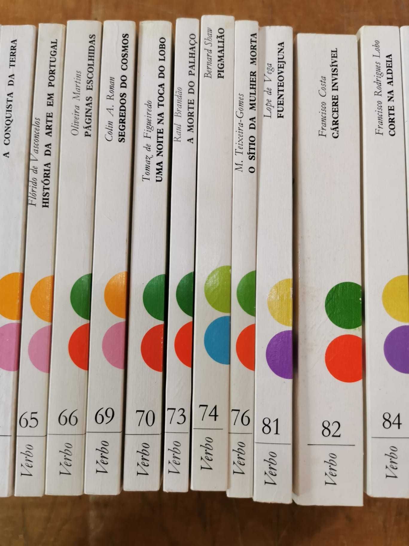 Lote de Livros VIII