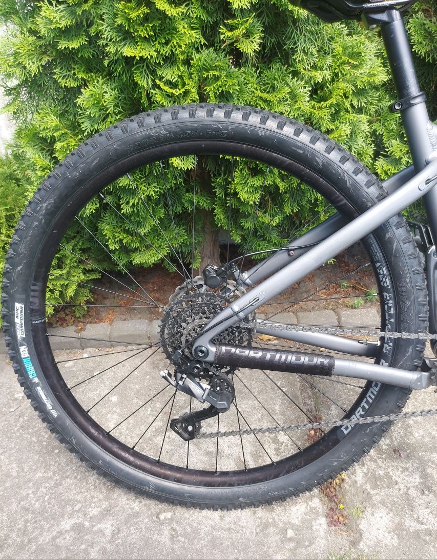 Rower MTB Dartmoor Primal Intro 29 rama M koło 29 " grafitowy