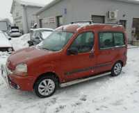 Разборка Renault Kangoo (Рено Кенго) 1/2 ШРОТ Запчасти Кузов