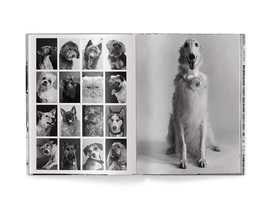 Книга Elliott Erwitt: Dogs