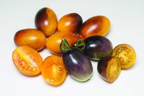 Sementes Tomate Indigo Kumquat