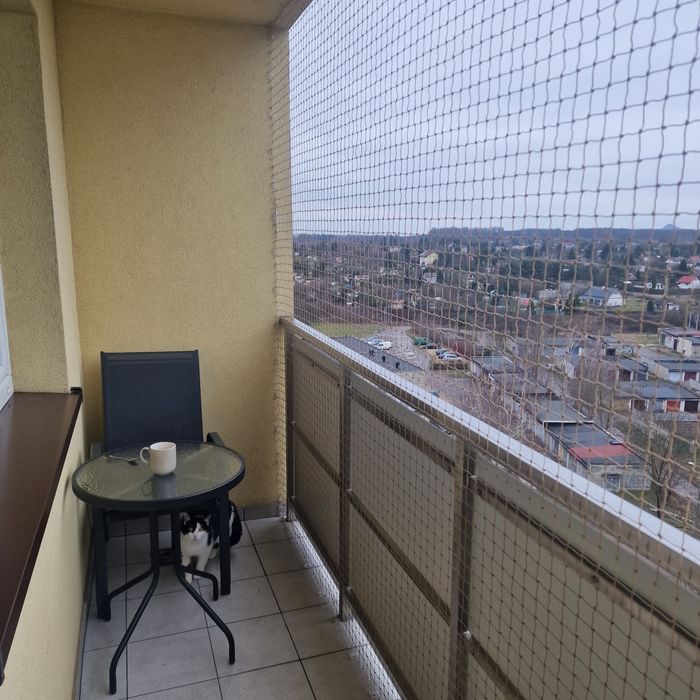 Montaż siatki na balkonie, oknie dla kotów i przeciw ptakom CAŁY ŚLĄSK