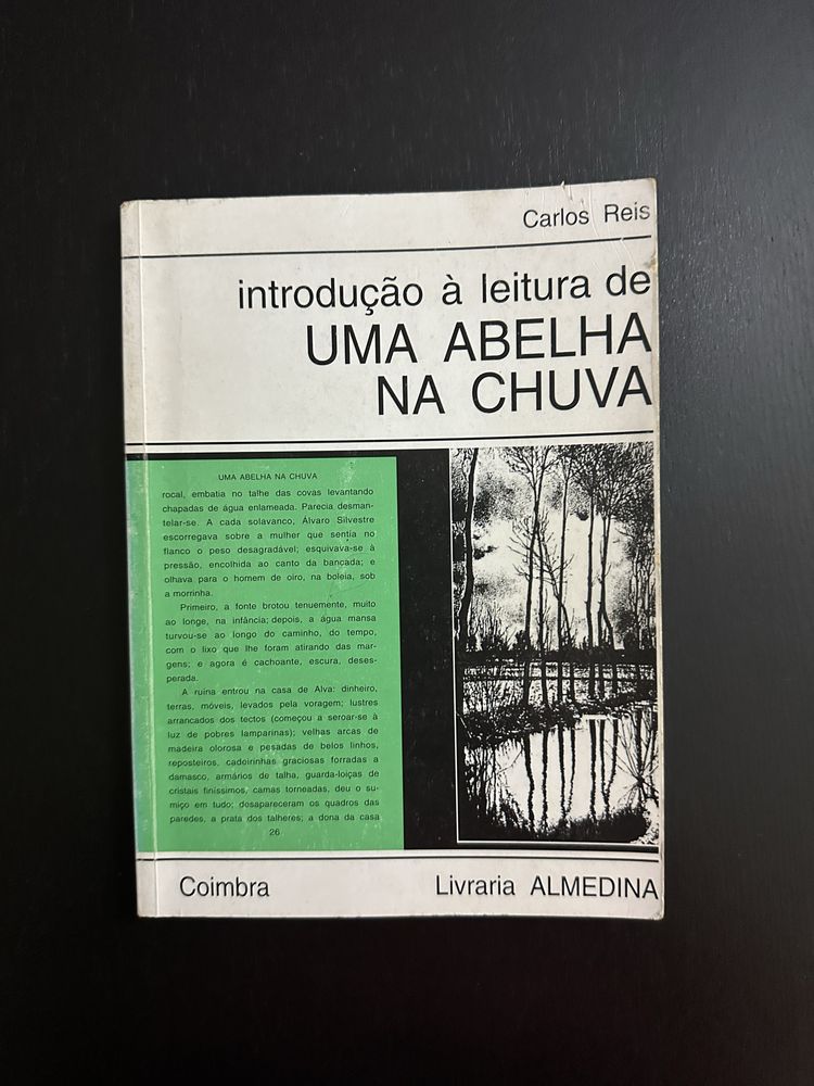 Livro Uma Abelha Na Chuva