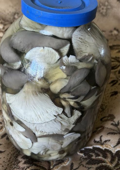 Гриб вешенка маринованая обьем банки 3л Смачна