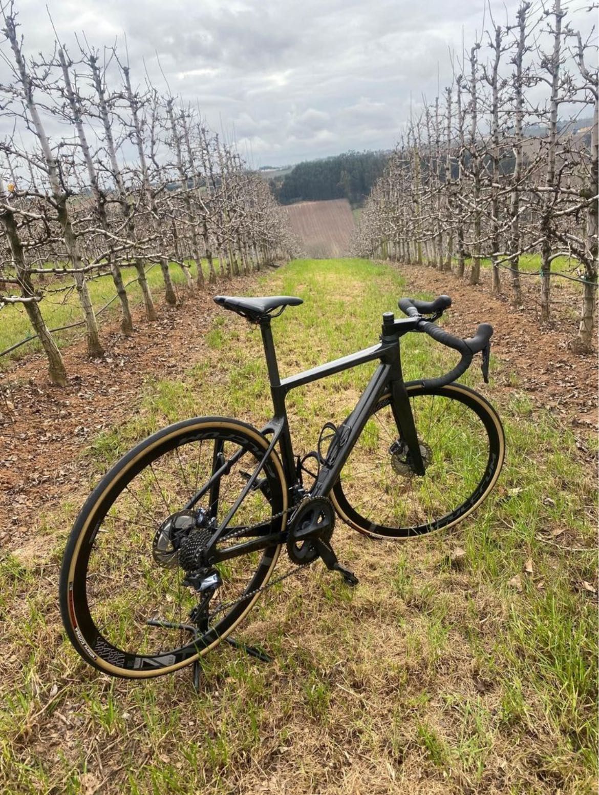 Orbea M21 de disco