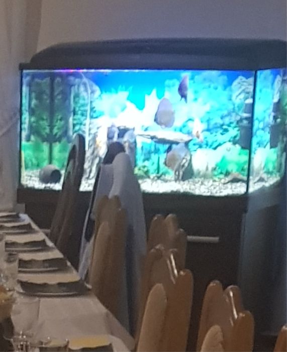 Akwarium 200l z szafka i osprzetem