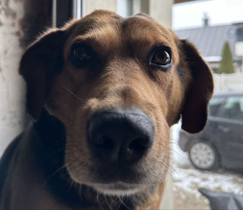 Korepetycje CHEMIA poziom rozszerzony i podstawowy online