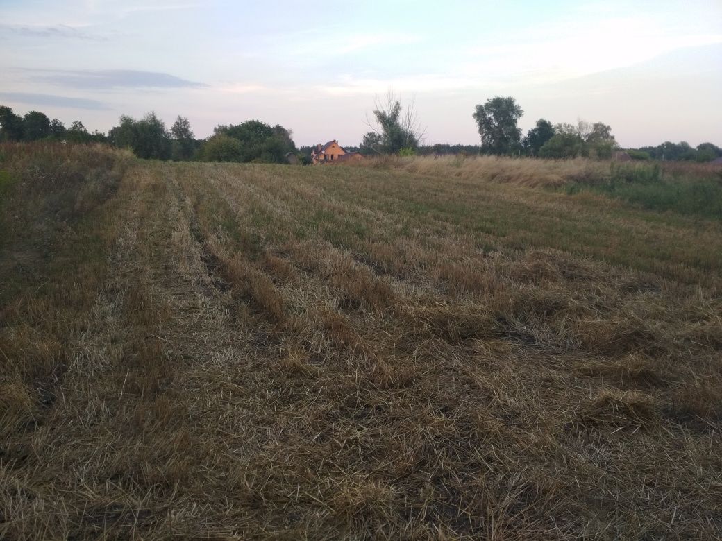 Продаж землі, нерухомість