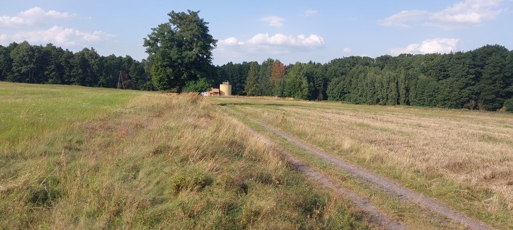Sprzedam działkę rolną w Rynarcicach