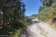 Ruína em Pedra, Palheiro escavado em pedras
