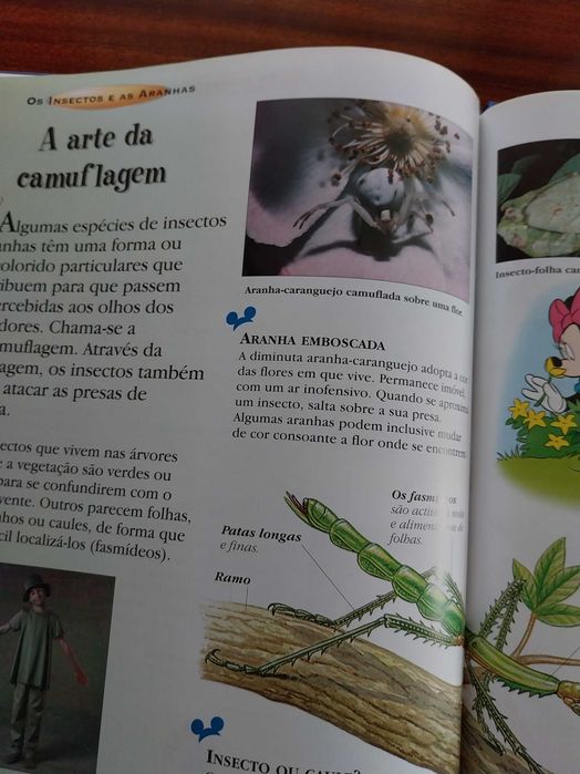 Os Insectos e as Aranhas, Disney - O Maravilhoso Mundo do Conhecimento