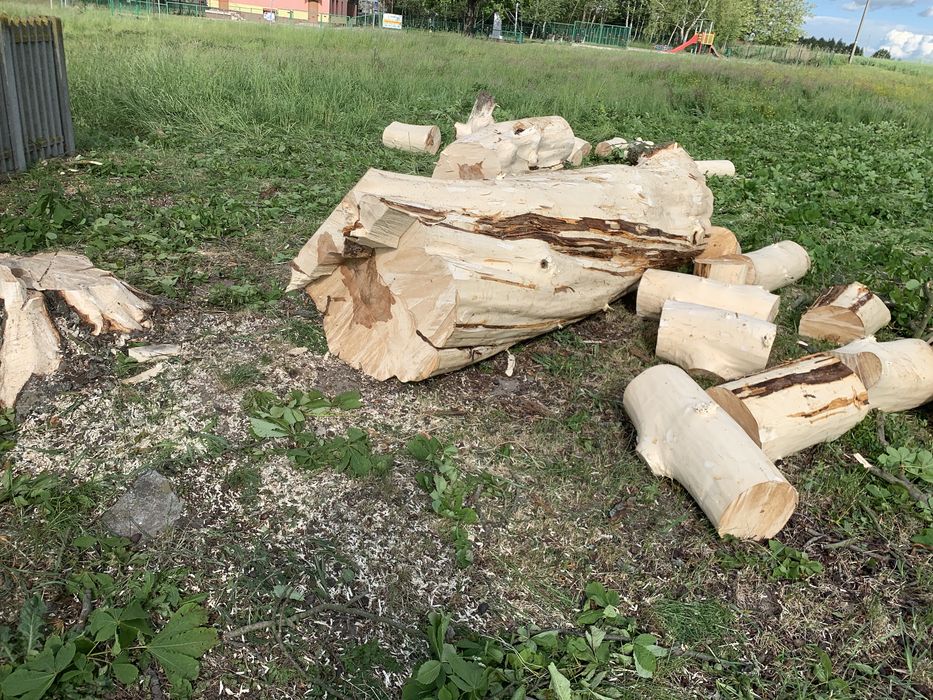 Drewno opałowe liściaste