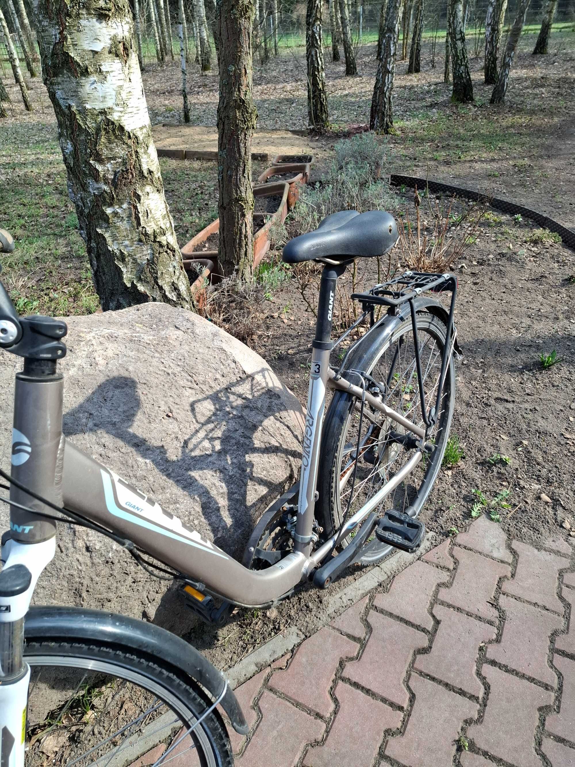 Rower damka Giant Argento