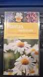 Livro sobre plantas medicinais