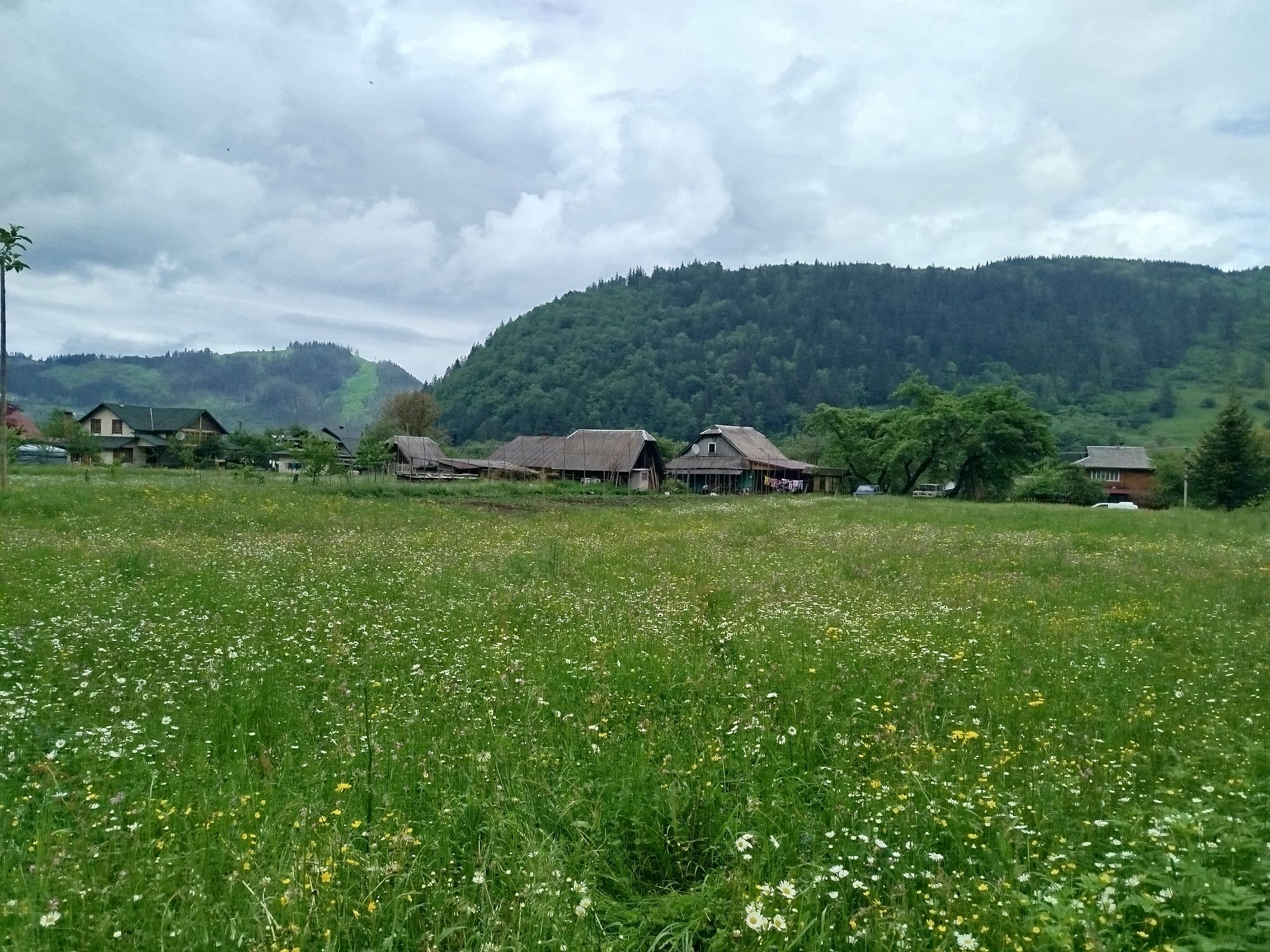 Земля в Карпатах, біля лісу, річки, дорога для легкових