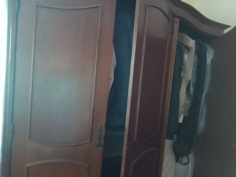 Roupeirocastanho madeira boa macissa