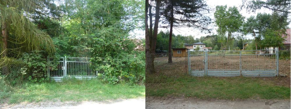 Wycinka Drzew Niwelacje Terenu Frezowanie Karp Rębak Podnośnik