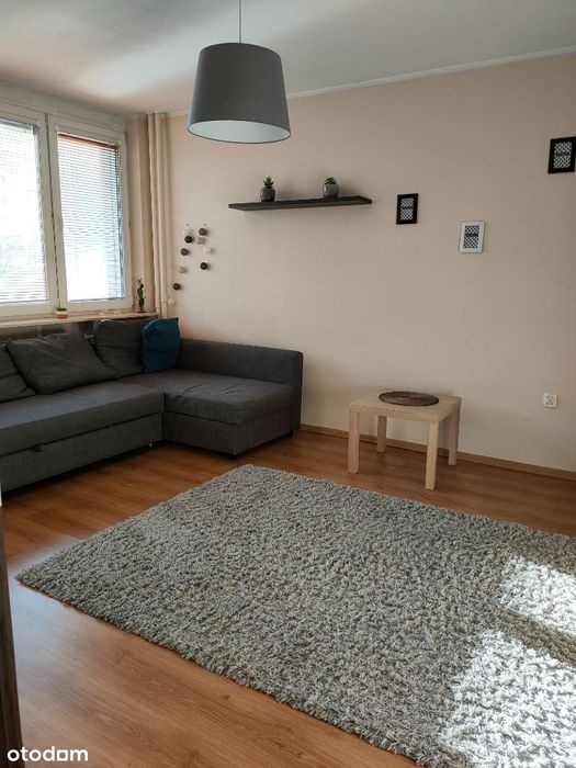Mieszkanie 3 pokojowe na Jelonkach