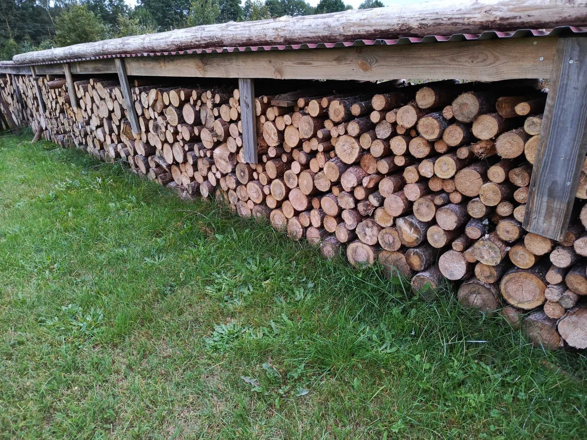 Drewno sosnowe opałowe