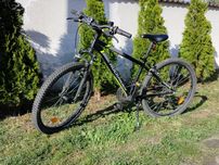 Rower górski 24''