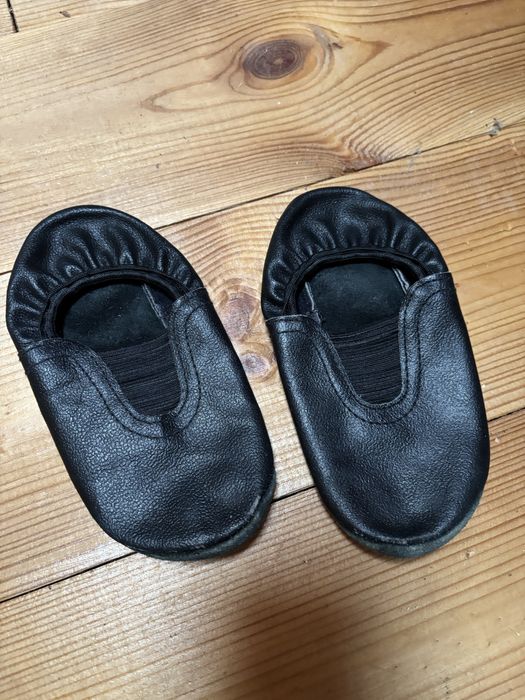 Віддам чешки чорні та білі