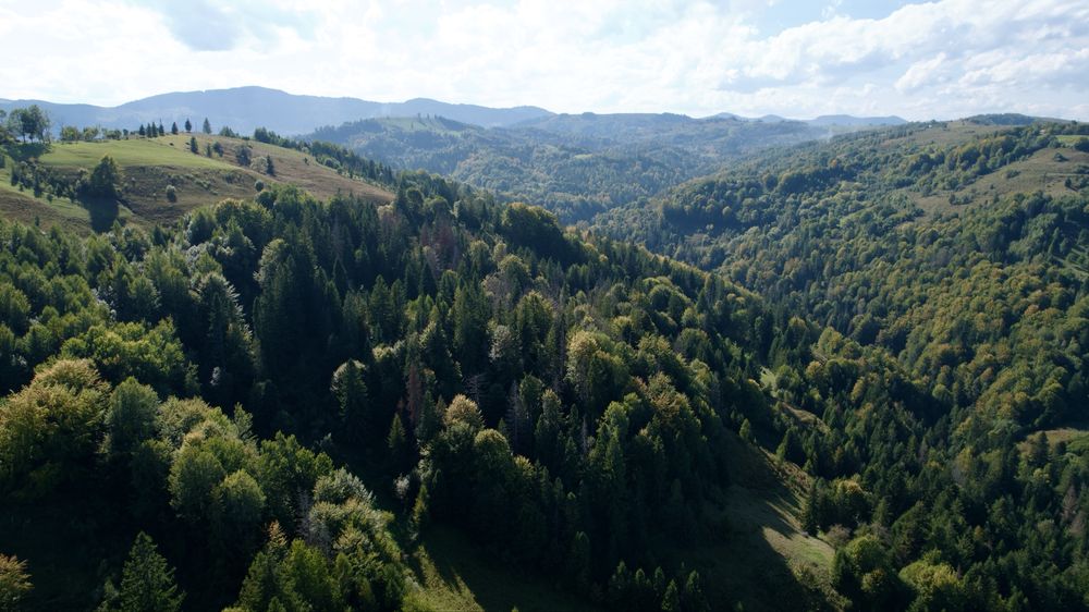 Продається будинок с. Велики Рожен Косівський Район