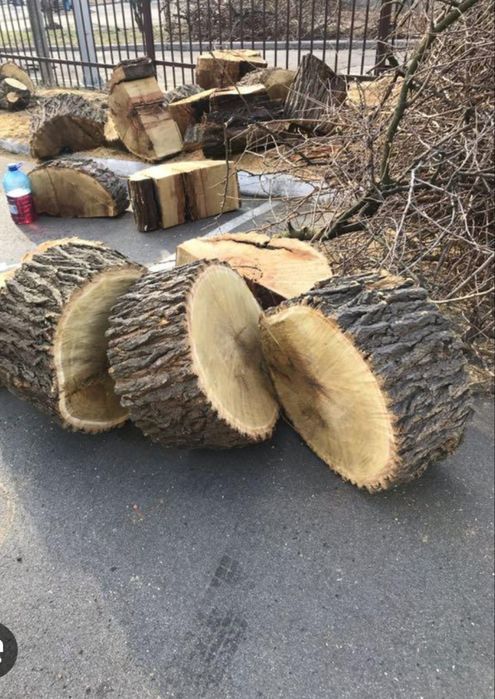 Спил дерева, обрезка деревьев.Покос Трави любой сложности Звоните.
