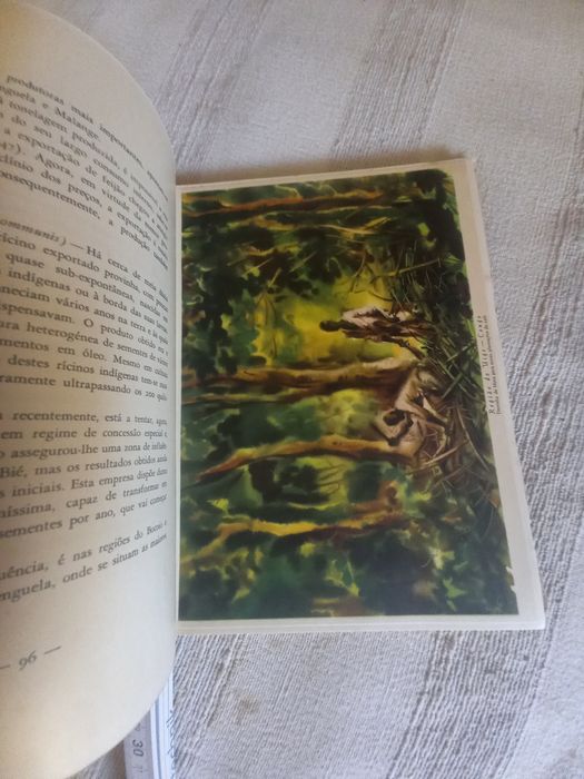 Livro antigo sobre Angola