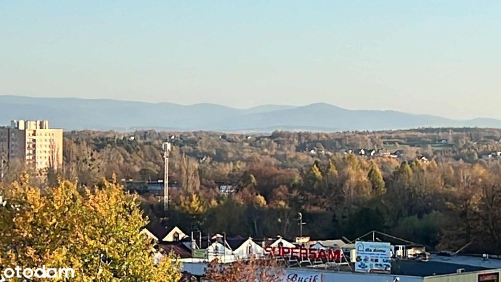 M-6  (układ 3x1) Jastrzębie-Zdrój  ul. Wrocławska ŚCISŁE  CENTRUM