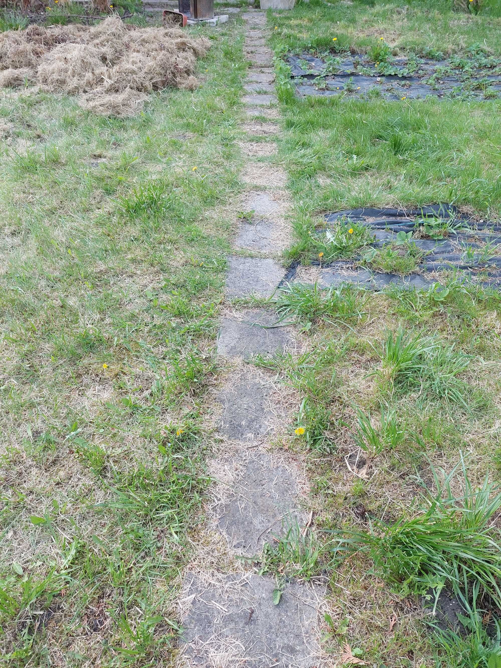 Krawężnik  płytka chodnik