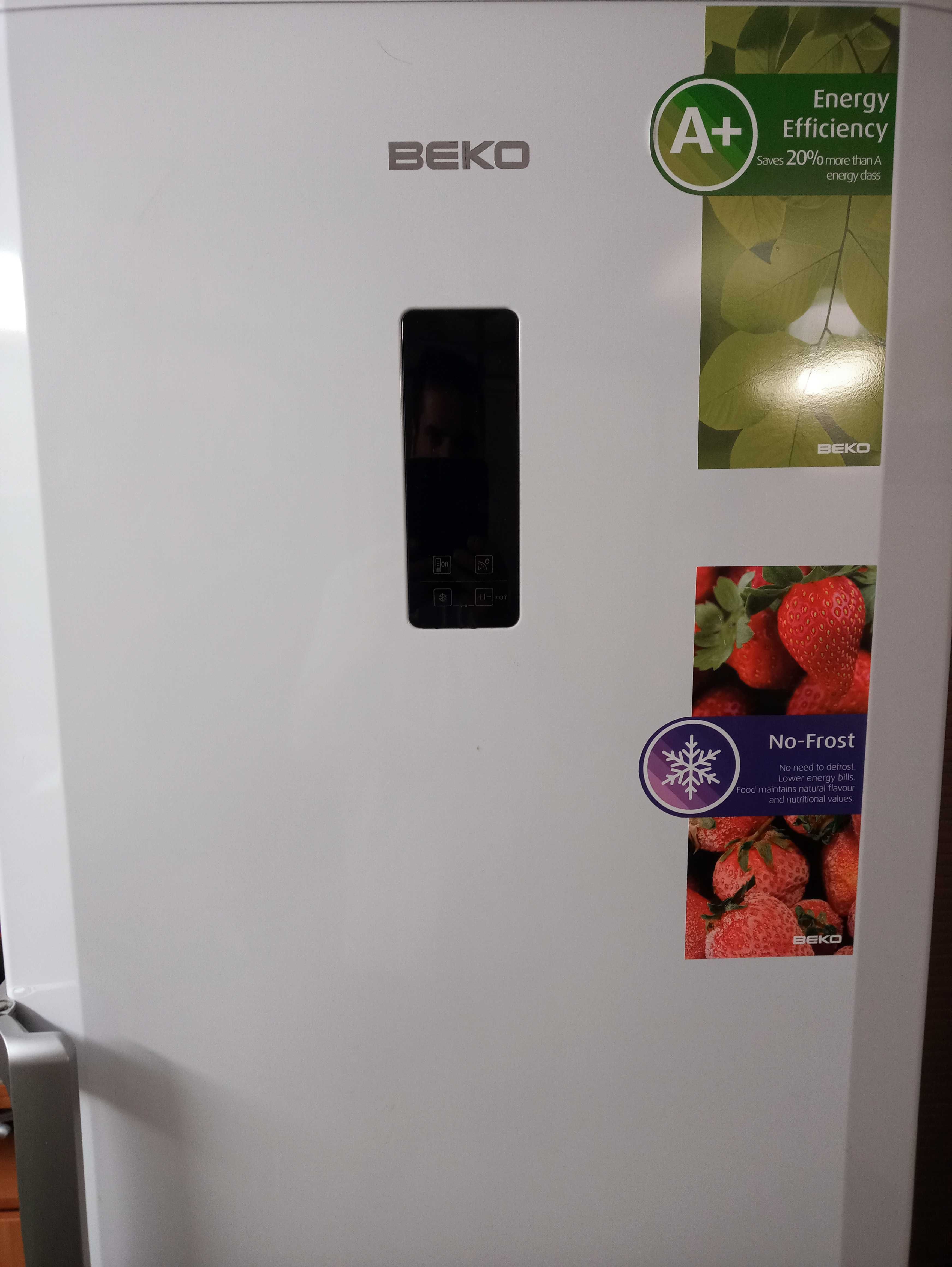 zamrażarka Beko  260 lmodel f60285ne