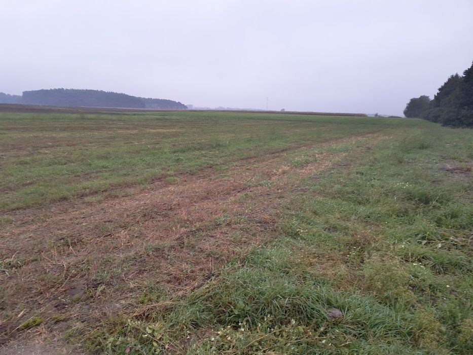 Działka usługowa