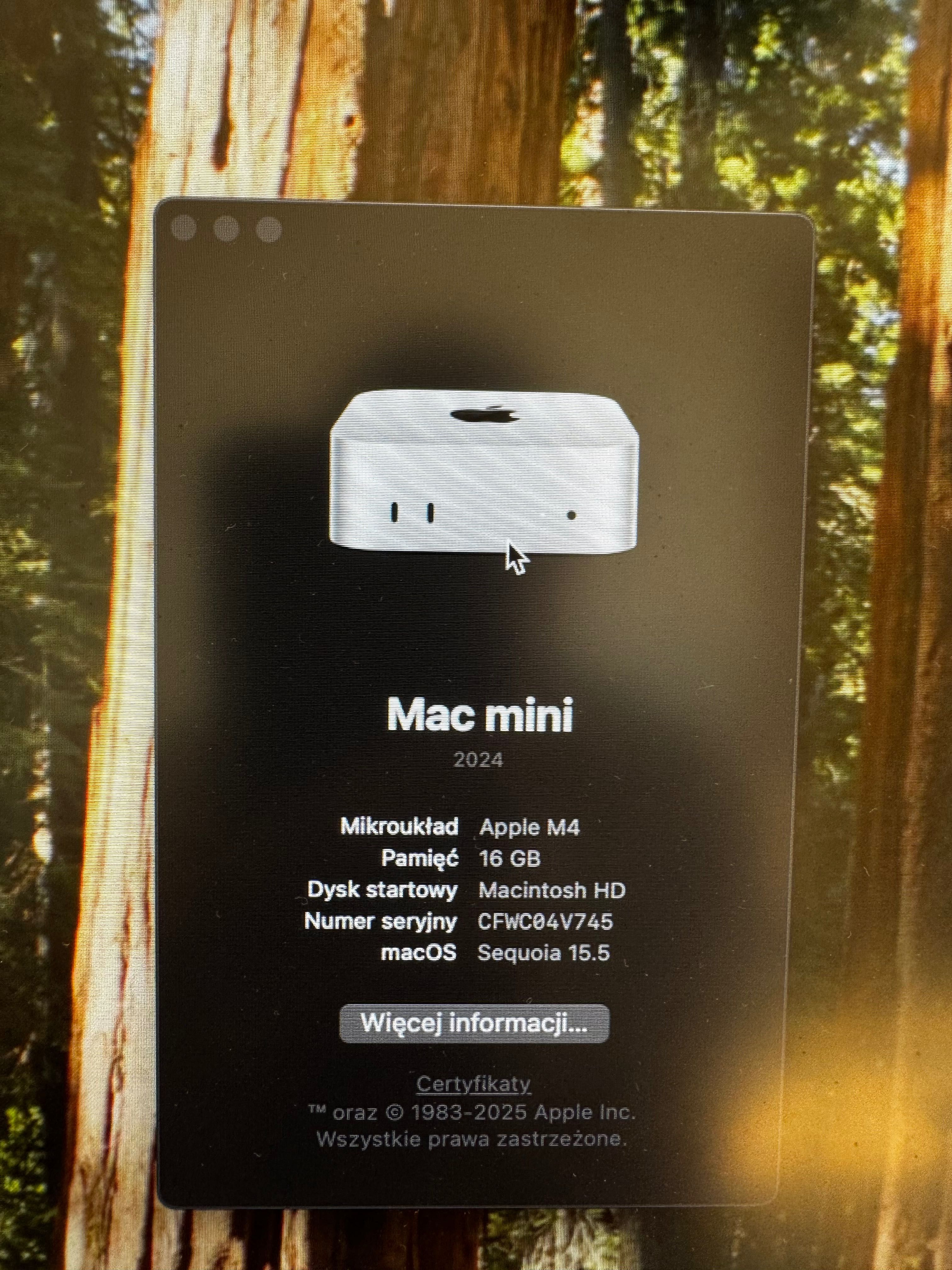Apple mac mini M4 ram 16 ssd 2tb