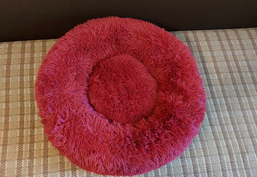 Спальное место, лежанка, лежак для животных.