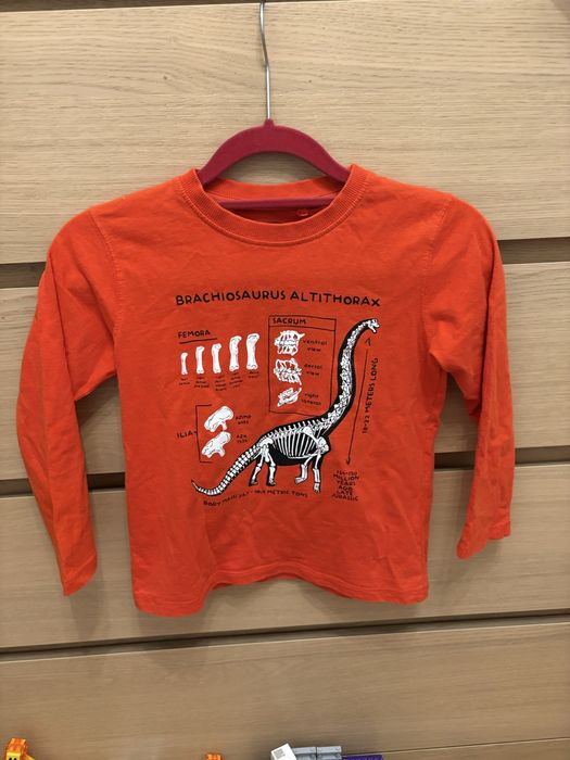 Bluzeczka r 116 122 pomarańczowa ze szkieletem dinozaura