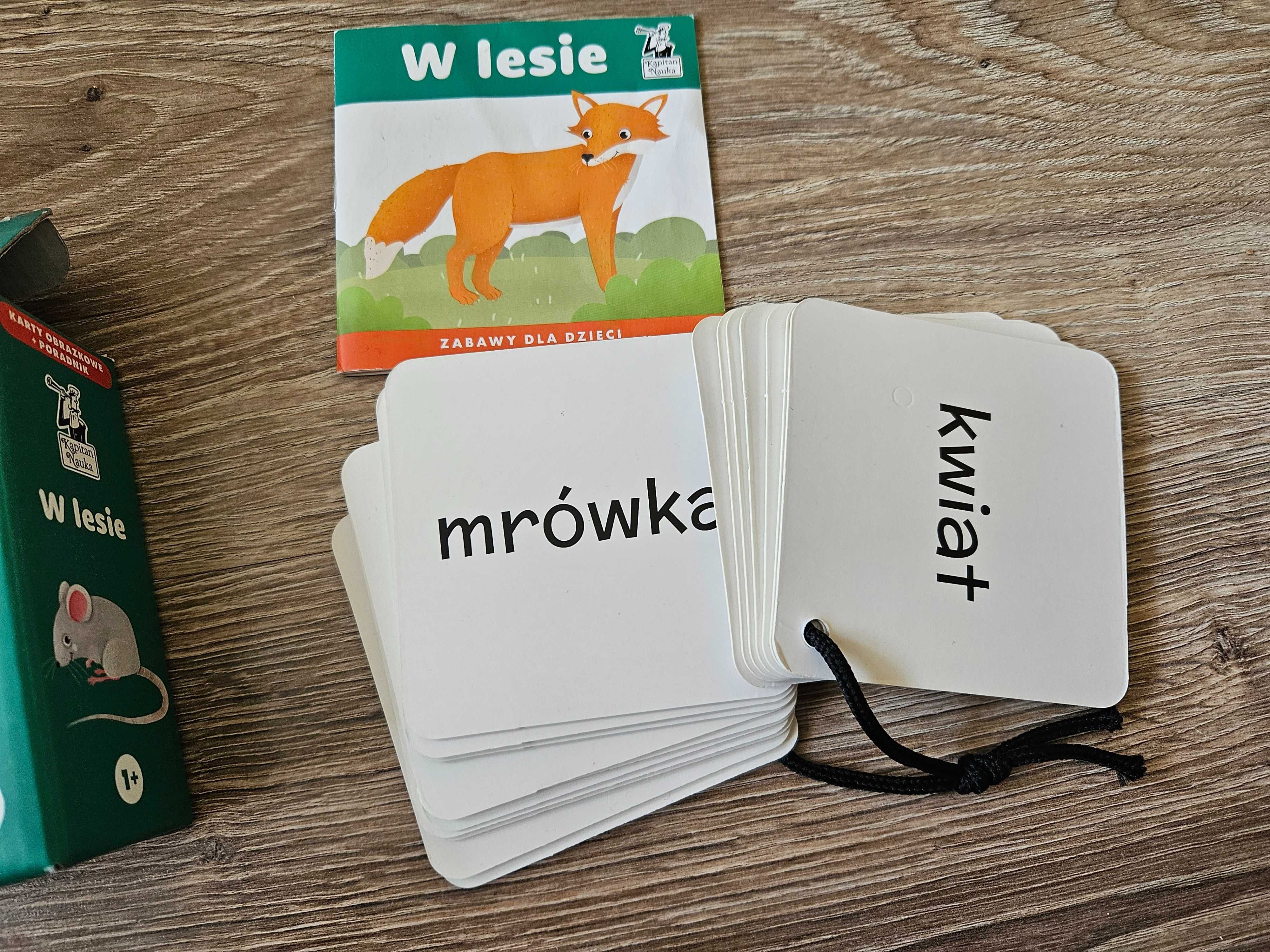 Karty obrazkowe w lesie + poradnik, 1+