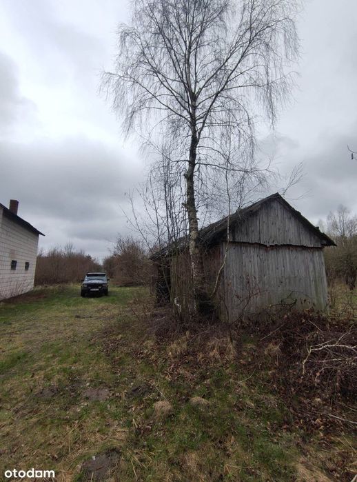 Działka Rolna Sad Droga EkspresowaS19 Via Carpatia