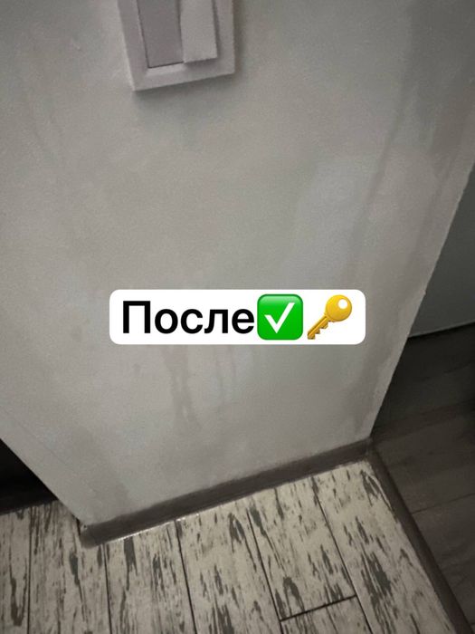 Удаление плесени - дезинфекция тараканов плесени — быстро и надёжно